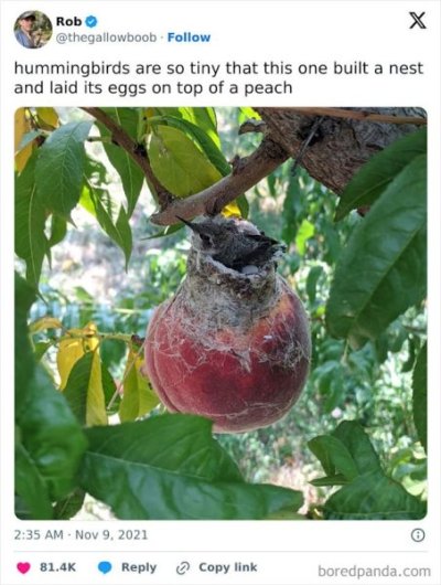 f5d825f6d255246ba02d70d2d2cef664.jpeg