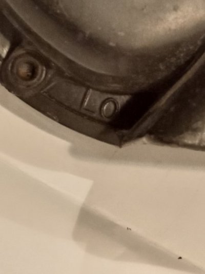 20250311_213355.jpg