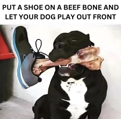 1750672371933.png