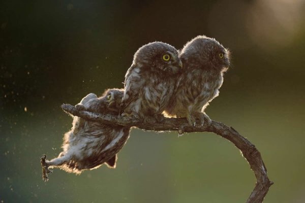 hilarious-timed-photos-featured.jpg