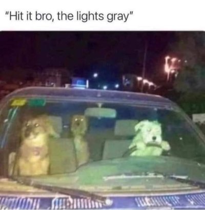 1750947896795.jpeg