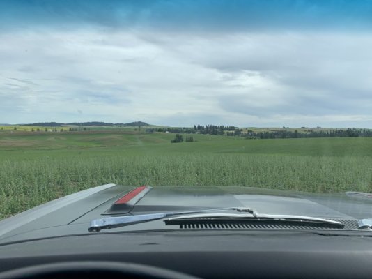 IMG_1809.jpeg IMG_1809.jpeg