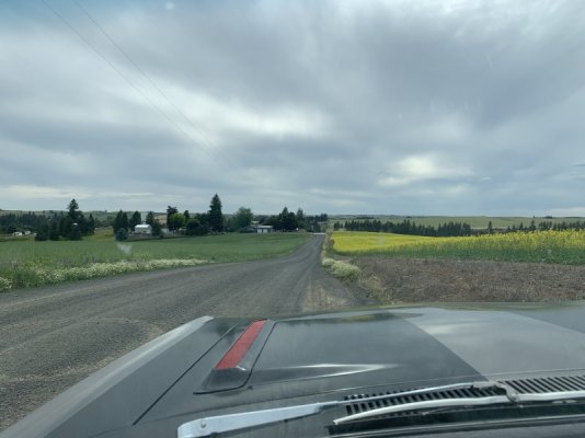 IMG_1810.jpeg IMG_1810.jpeg