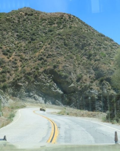 IMG_3460.JPG