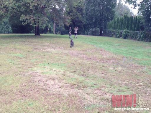 daily_gifdump_5009_14.gif