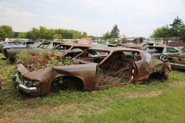 junk roadrunner.jpg
