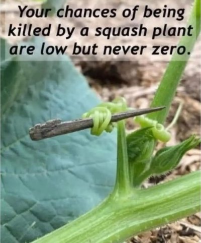 IMG_3060.jpeg