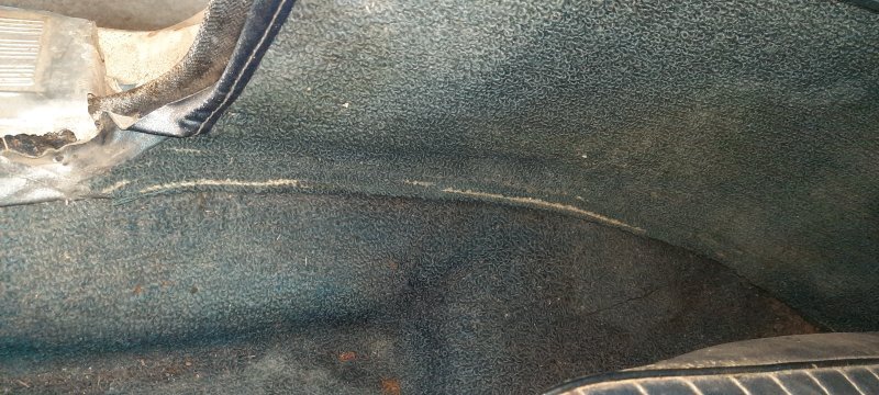 20250705_132001.jpg