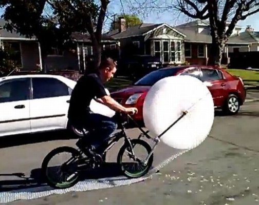 morning_picdump_396_640_15.jpg