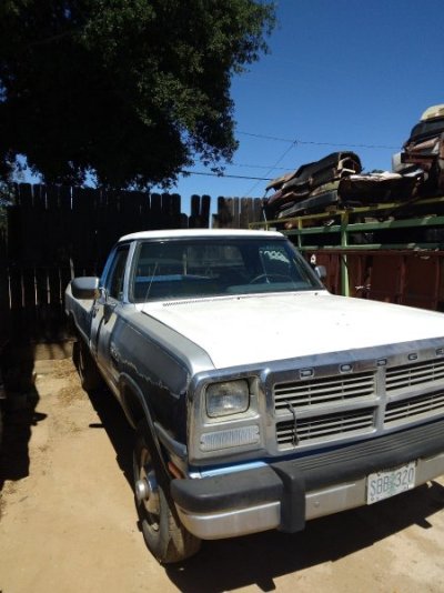 91 W250 5.jpg