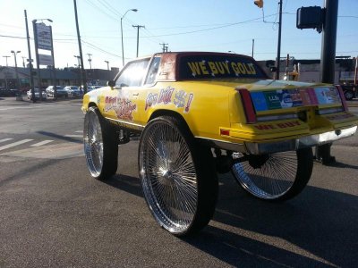 Funny Car Pictures That Make You Laugh - Part 1 - 06.jpg