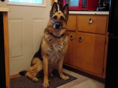 My Guys 001 (640x480).jpg