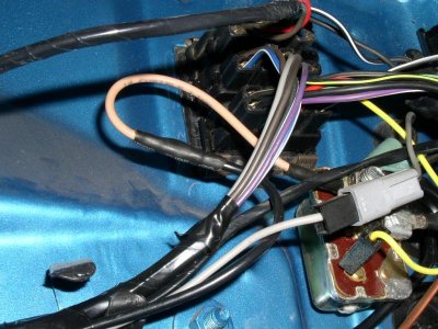 P1230002.jpg P1230002.jpg