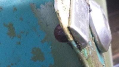 20150125_103516.jpg