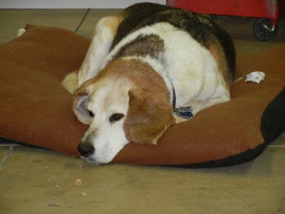 DSCN2658.jpg DSCN2658.jpg