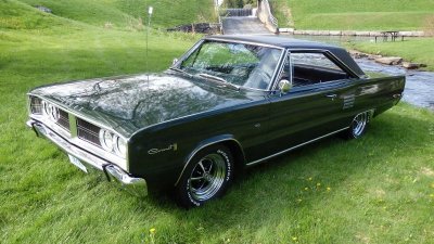 P5190066.jpg P5190066.jpg