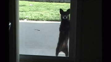 friday_gifdump_1112_10.gif