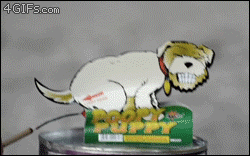 tumblr_mppc0nGZxG1qdlh1io1_250.gif