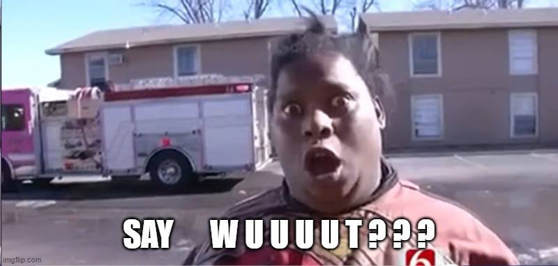 IMG_4219.jpeg IMG_4219.jpeg