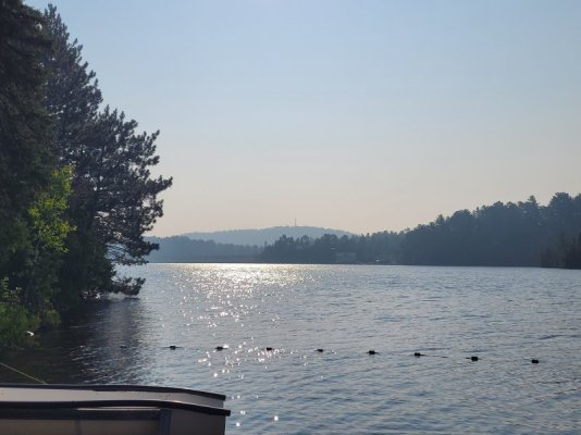 20250714_084304.jpg