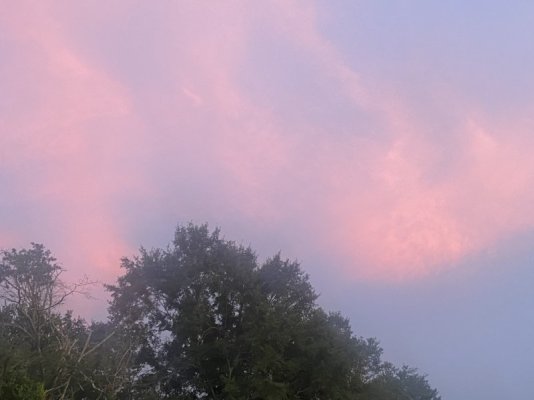 04304321-B8A6-42FD-80CF-0E492CD65B36.jpeg