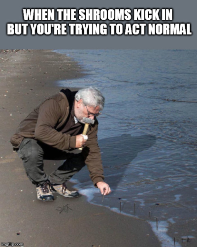 1752860229311.png