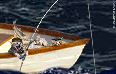 cats-cod-pb4-125881459.gif