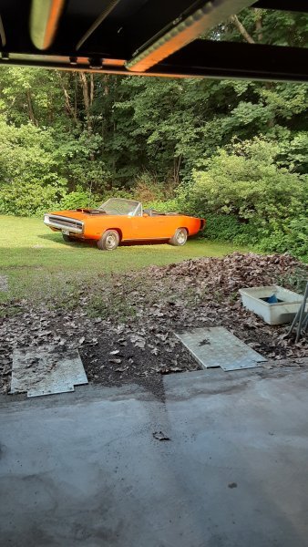 20250720_170622.jpg