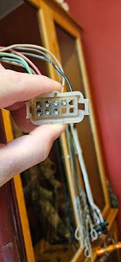 Plug.jpg Plug.jpg