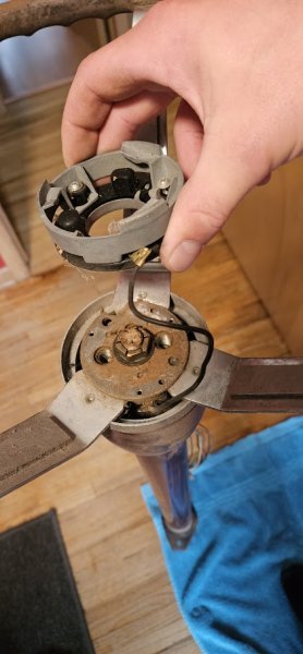 Horn Wire.jpg Horn Wire.jpg