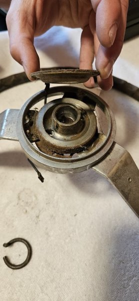 Horn Contact 1.jpg