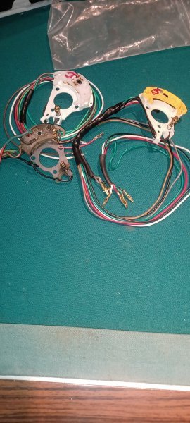 20250722_114602.jpg