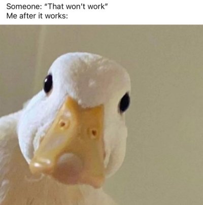 IMG_3306.jpeg