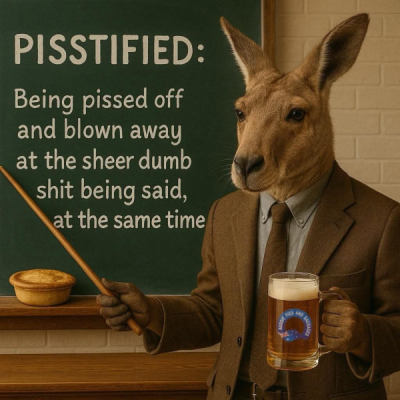 1753478998560.png
