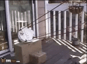 tumblr_mmwwtokkmR1sr8kiyo1_400.gif