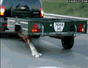 FGtirerepair.gif