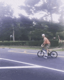 ObedientYawningDavidstiger-size_restricted.gif