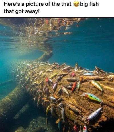 1753593425297.png