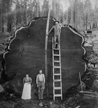 rare-historical-photos-22.jpg