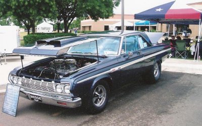 Thunder @ Mustang show 2008.jpg