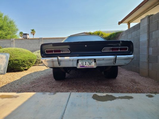 20250713_085228.jpg 20250713_085228.jpg