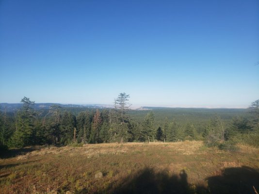 20250728_072656.jpg