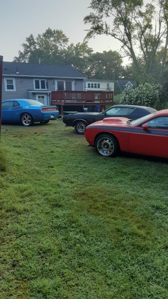 20250728_061103.jpg