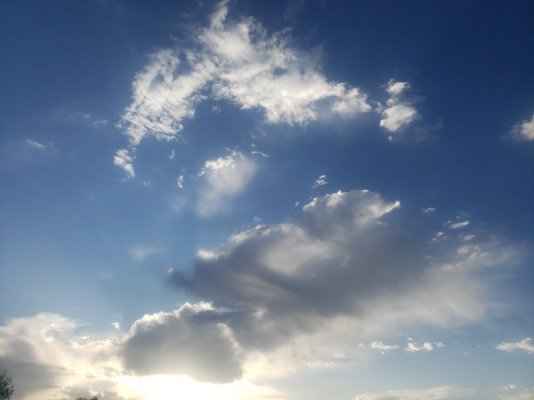 20250729_073555.jpg