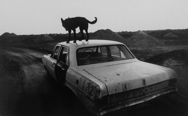 great_best_topo_black_and_white_masters_photos_03.jpg