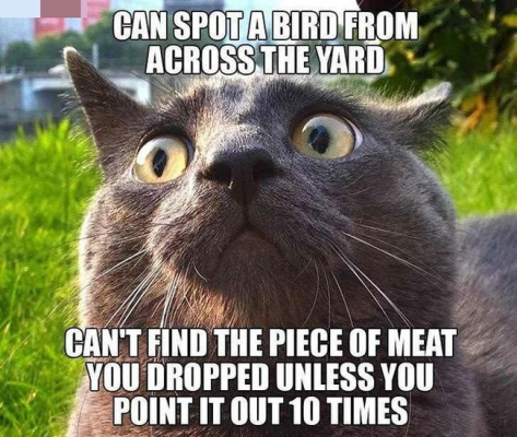 1753983960395.png
