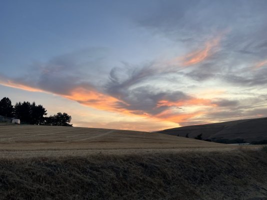 IMG_3620.jpeg