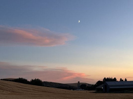 IMG_3604.jpeg