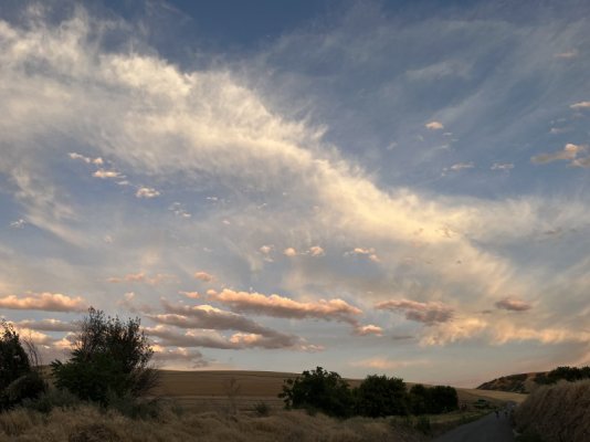 IMG_3571.jpeg
