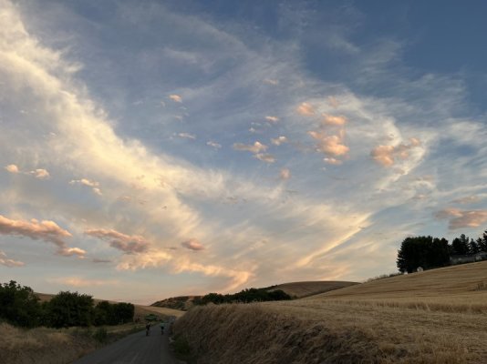 IMG_3570.jpeg